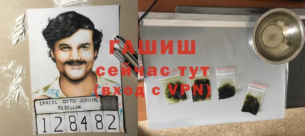 индика Протвино