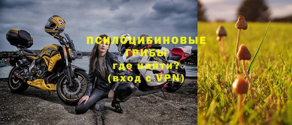 стаф Абаза
