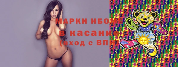 стаф Абаза