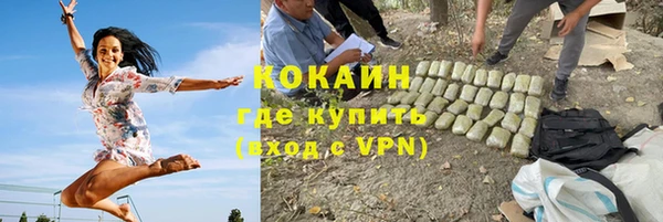 индика Протвино
